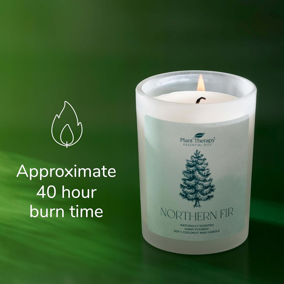 Plant Therapy Northern Fir Naturally Scented Candle 8 Oz Hand-Poured Coconut & Soy Wax Blend, Refreshing Forest Scent, Chic Frosted White Jar With Wooden Lid