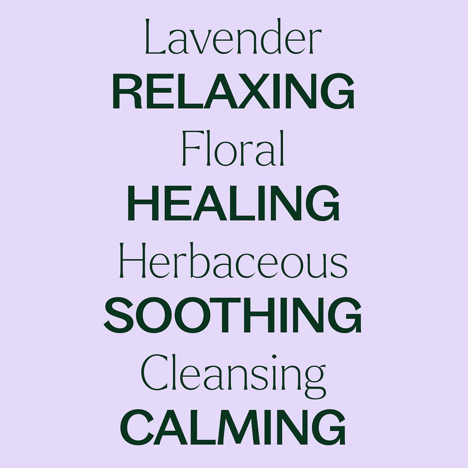 Plant Therapy Lavender Essential Oil 100% Pure, Undiluted, Natural Aromatherapy, Therapeutic Grade 30 Ml (1 Oz)