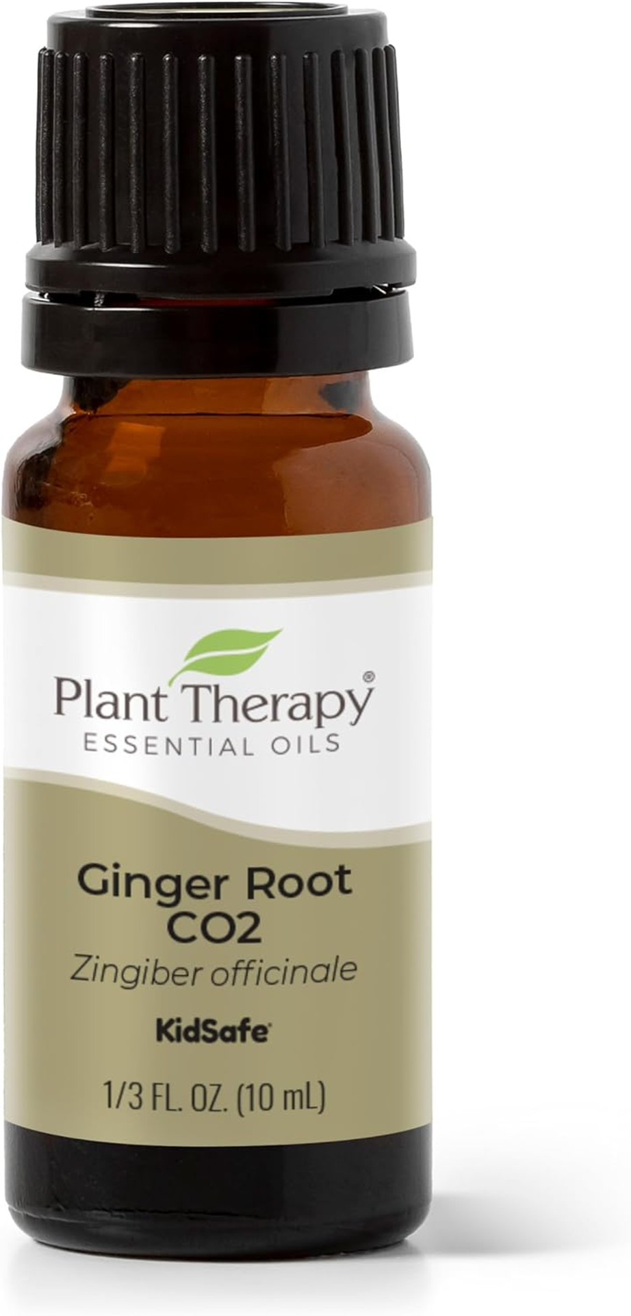 Plant Therapy Ginger Root Co2 Essential Oil 100% Pure, Undiluted, Natural Aromatherapy, Ginger Oil For Diffuser, Skin & Massage And Hair, Therapeutic Grade 10 Ml (1/3 Oz) Plant Therapy Ginger Root Co2 Essential Oil 100% Pure, Undiluted, Natural Aromatherapy, Ginger Oil For Diffuser, Skin & Massage And Hair, Therapeutic Grade 10 Ml (1/3 Oz)