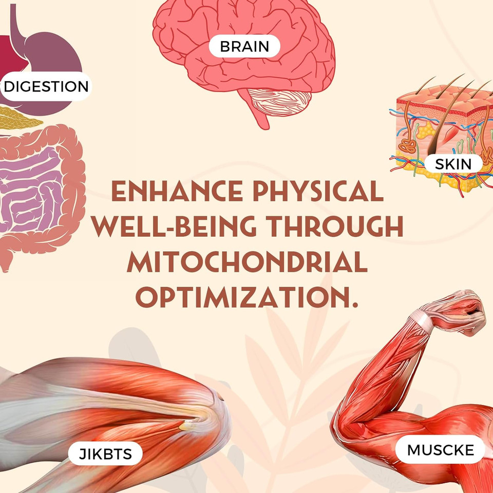 Liposomal Urolithin A Supplement 1500 Mg + Coq10 + Trans-Resveratrol, Premium Cellular Energy Regeneration, Optimal Mitochondrial Function, Antioxidants  240 Softgels