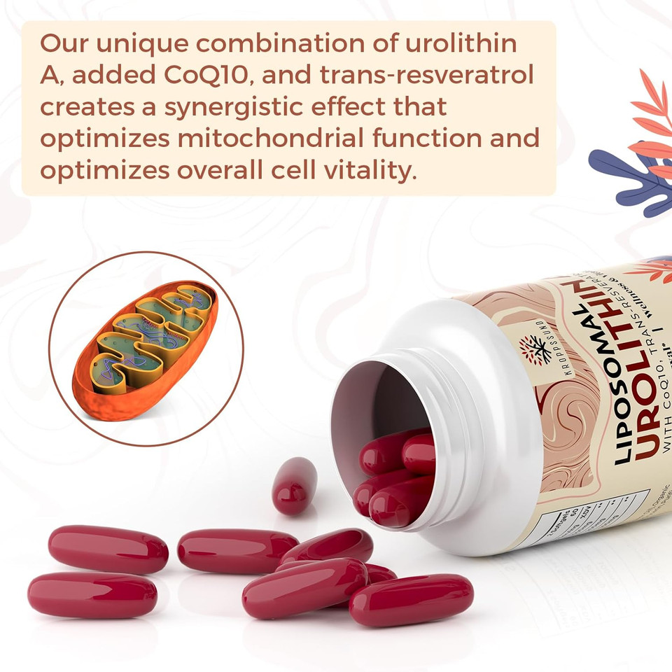 Liposomal Urolithin A Supplement 1500 Mg + Coq10 + Trans-Resveratrol, Premium Cellular Energy Regeneration, Optimal Mitochondrial Function, Antioxidants  120 Softgels