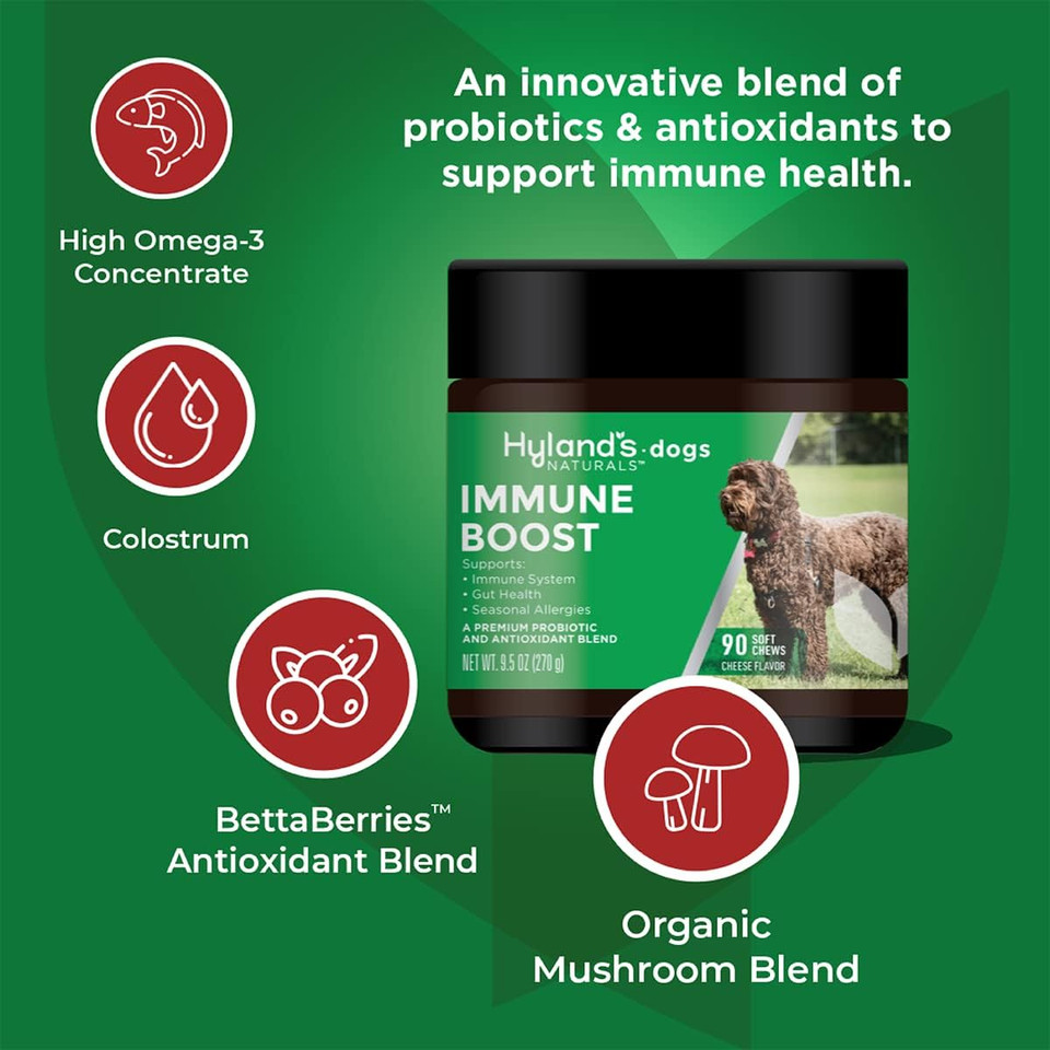 Hyland'S Naturals - Immune Boost For Dogs, 90 Soft Chews, Supports Immune System, Gut Health & Seasonal Allergies, With Probiotics & Antioxidants, Cheese Flavor
