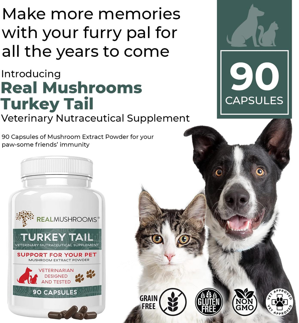 Turkey Tail Pet Support - Dog Multivitamins And Supplements For Immune Support, Gut Health & Wellness - Grain-Free, Gluten-Free, Vet-Approved Dog Supplement (90Ct)