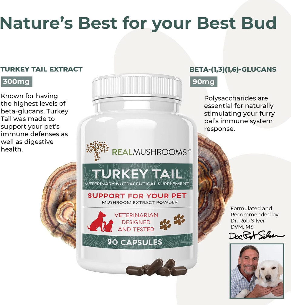 Turkey Tail Pet Support - Dog Multivitamins And Supplements For Immune Support, Gut Health & Wellness - Grain-Free, Gluten-Free, Vet-Approved Dog Supplement (90Ct)