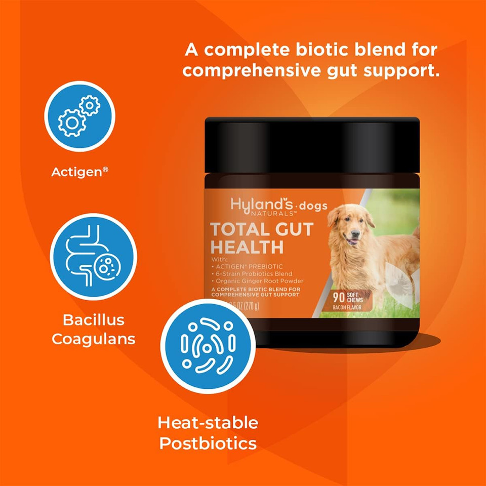 Hyland'S Naturals - Probiotics For Dogs - Total Gut Health, 90 Soft Chews, With Actigen Prebiotic & Organic Ginger Root, Bacon Flavor