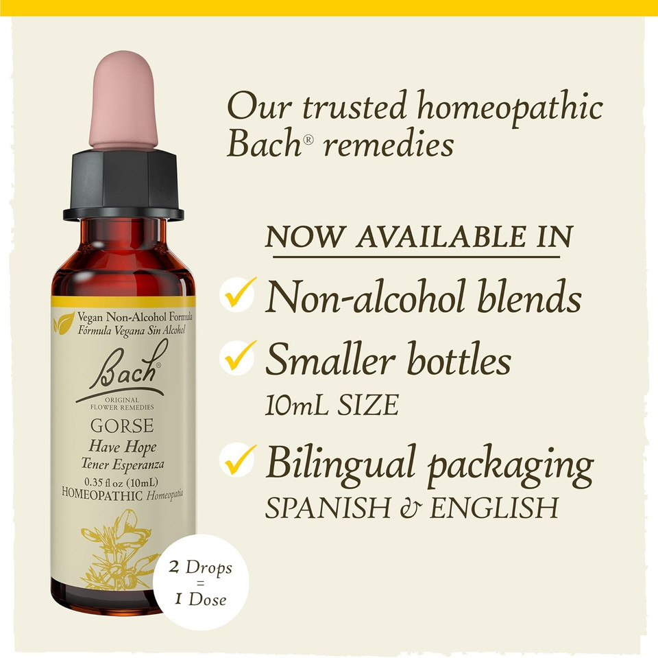 Bach Original Flower Remedies, Gorse For Hope (Non-Alcohol Formula), Natural Homeopathic Flower Essence, Holistic Wellness And Stress Relief, Vegan, 10Ml Dropper