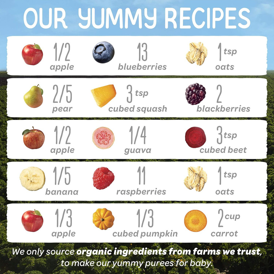 Happy Baby Organics Stage 2 Baby Food Pouches, Gluten Free, Vegan & Healthy Snack, Clearly Crafted Fruit & Veggie Puree, Fruit & Veggie Variety Pack, 4 Ounces (Pack Of 10)