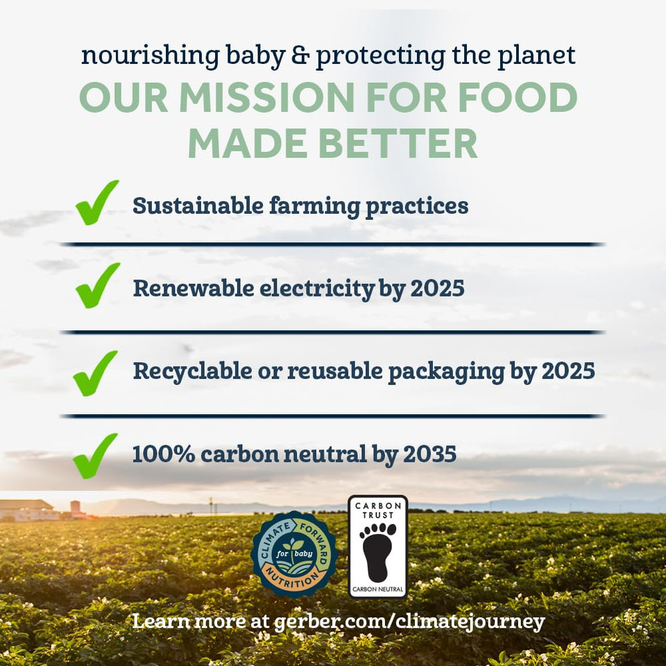 Gerber 1St Foods Organic For Baby Baby Food Apple, 4 Oz Jar (10 Pack)