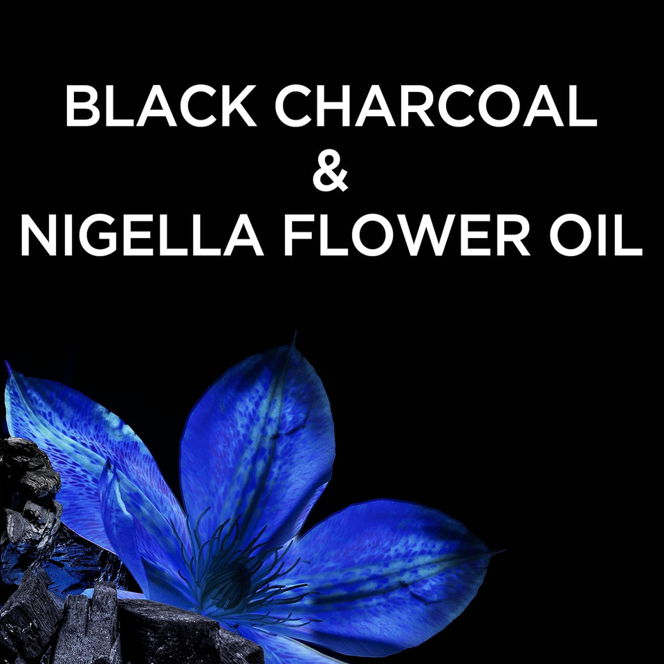 Garnier Whole Blends Black Charcoal & Nigella Flower Oil Rebalancing Shampoo And Conditioner Set For Greasy Scalp & Dry Ends With Sample, 26.6 Fl Oz, 1 Kit (Packaging May Vary)
