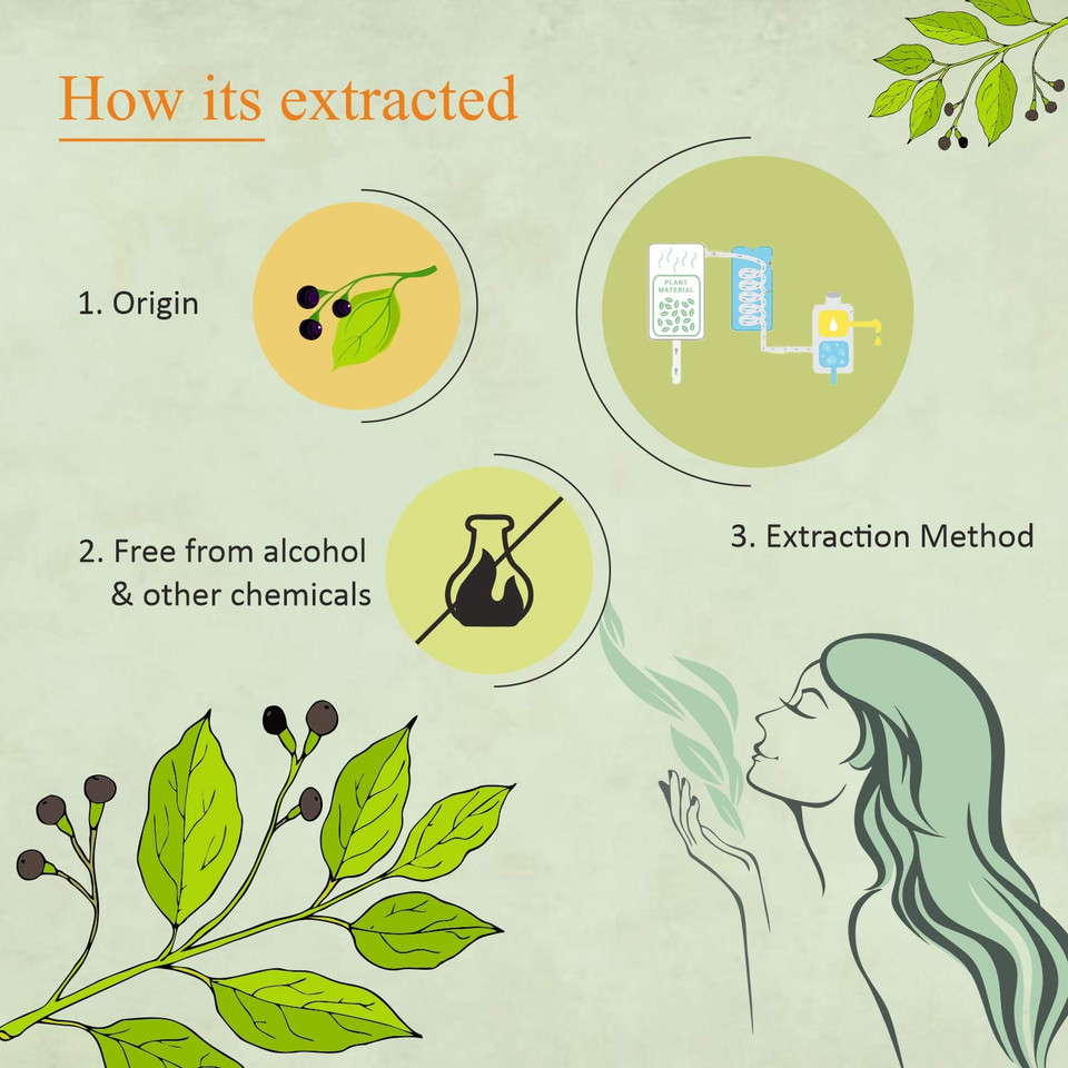 Florona Camphor Oil 100% Pure & Natural - 4 Fl Oz, For Hair, Face & Skin Care, Massage3.99 Fl Oz (Pack Of 1)