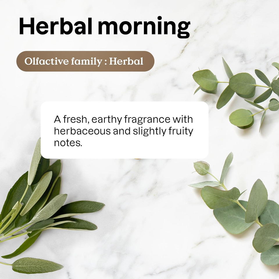 Attitude Dishwashing Liquid, Ewg Verified, Vegan Dish Soap, Plant Based, Naturally Derived Products, Herbal Morning, 24 Fl Oz