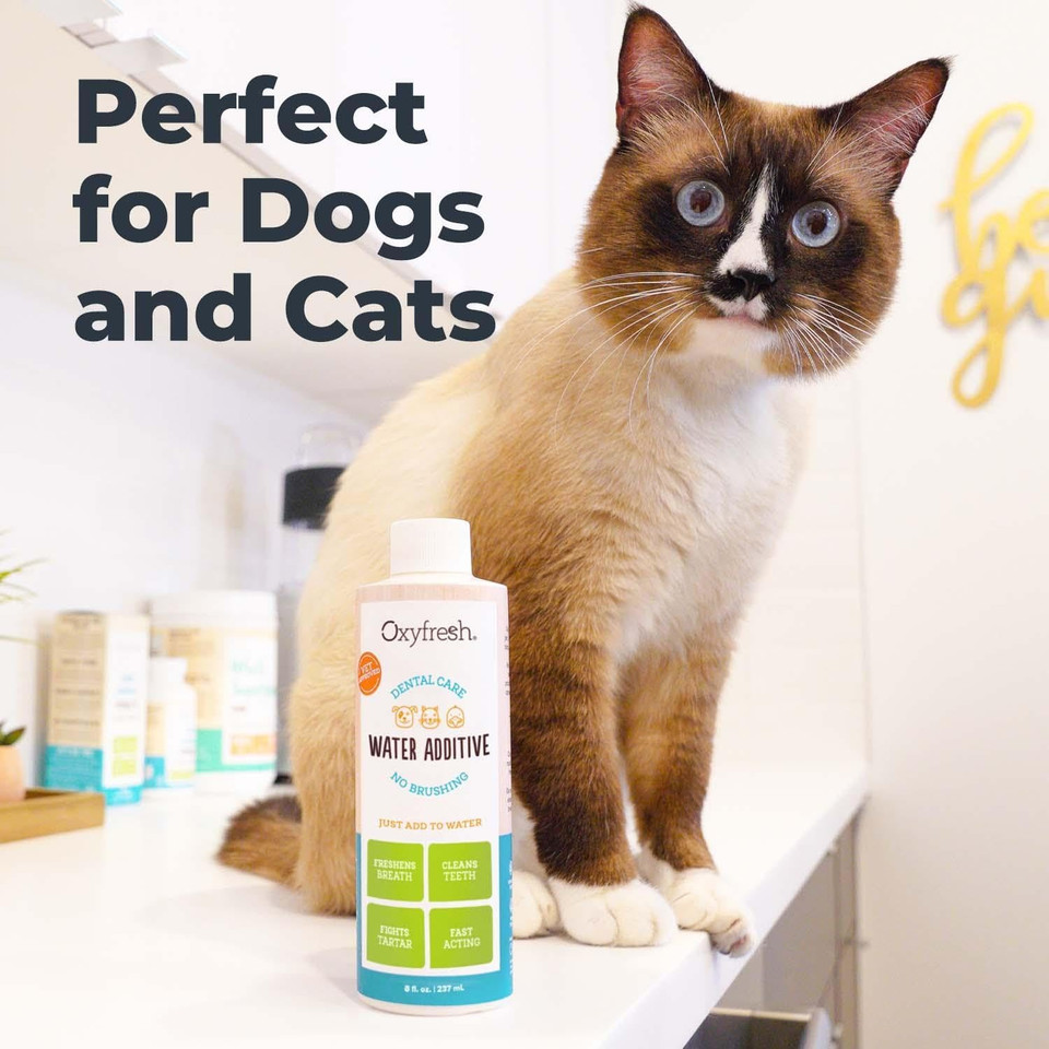 Oxyfresh Premium Pet Dental Care Solution Pet Water Additive: Best Way To Eliminate Bad Dog Breath And Cat Bad Breath - Fights Tartar & Plaque - So Easy, Just Add To Water! Vet Recommended 16 Oz