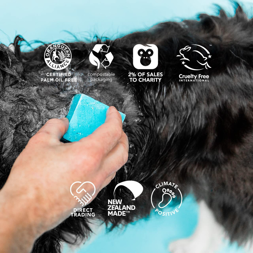Ethique Bow Wow Bar Nourishing Solid Dog Shampoo For Dogs - Plastic-Free, Vegan, Cruelty-Free, Eco-Friendly, 3.88 Oz (Pack Of 1)