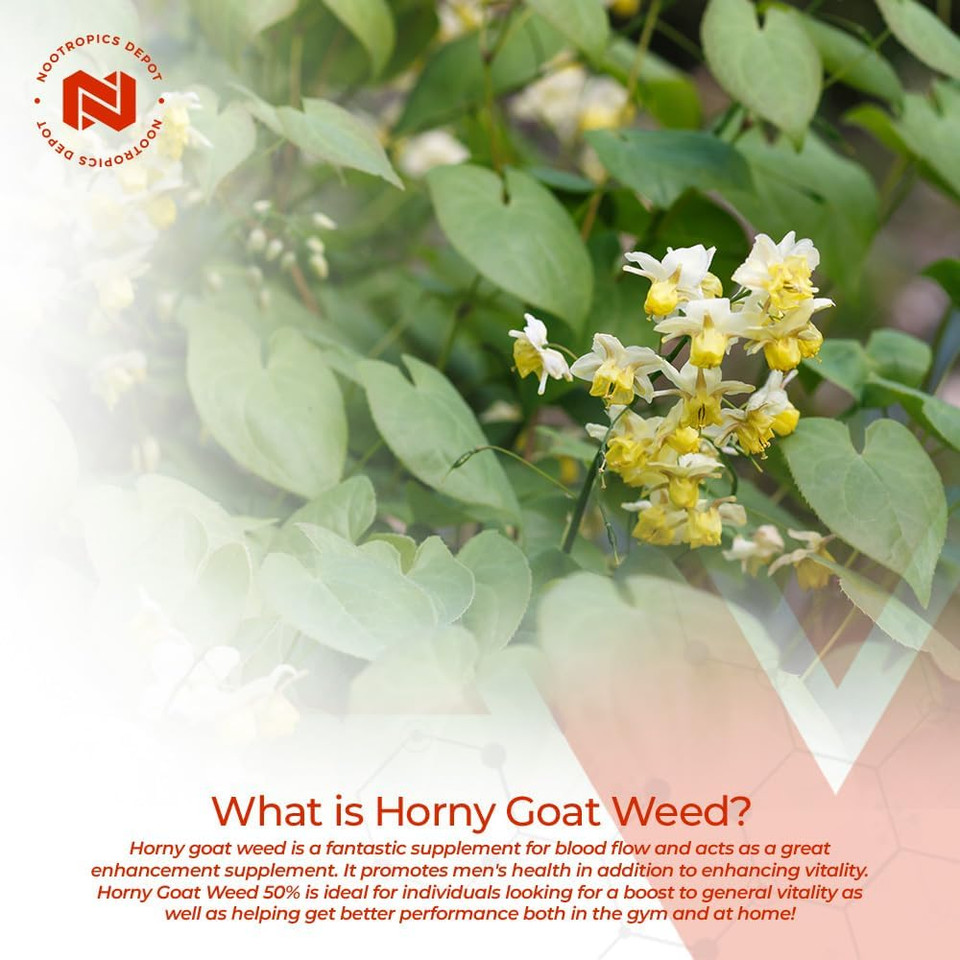 Nootropics Depot Horny Goat Weed Capsules | 200Mg | 30 Count | Minimum 50% Icariin | Epimedium Brevicornum