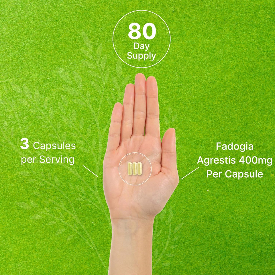 Deal Supplement Fadogia Agrestis 1,200 Mg Per Serving, 240* Capsules  50:1 Extract From Root, Plant Based, Highly Purified And Bioavailable  Gluten Free, Non-Gmo, Third Party Tested