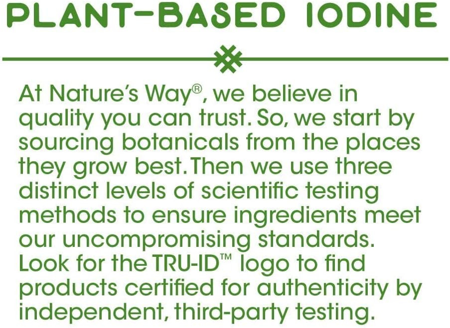 Nature'S Way Premium Herbal Bladderwrack Whole Thallus 580 Mg, 100 Count (Pack Of 2)