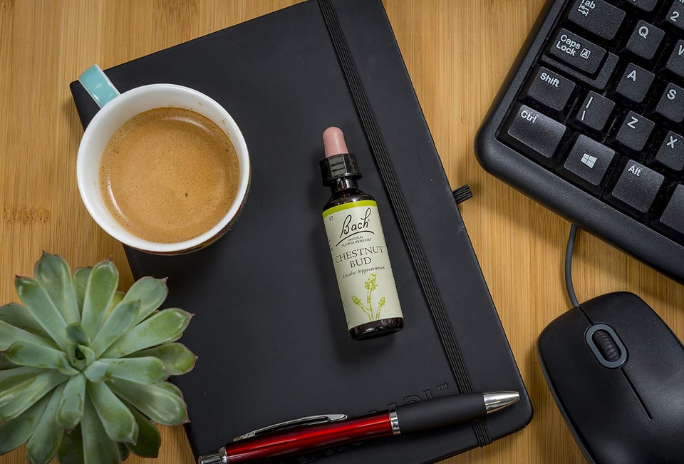 Bach Original Flower Remedy Aspen 20 Ml