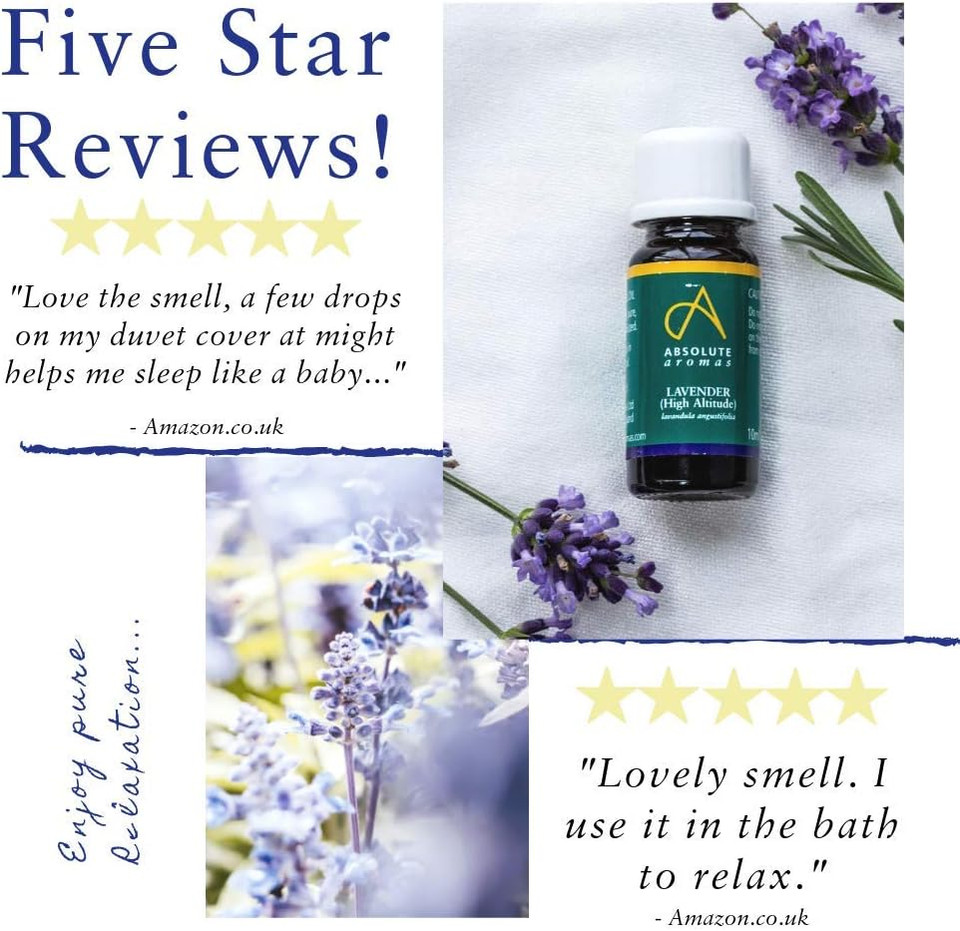 Absolute Aromas High Altitude Lavender Lavandula Angustifolia Essential Oil 100 Pure Natural Vegan Undiluted And Crueltyfree For Use In Diffusers Oil Burners And Aromatherapy Blends, 10 Millilitre