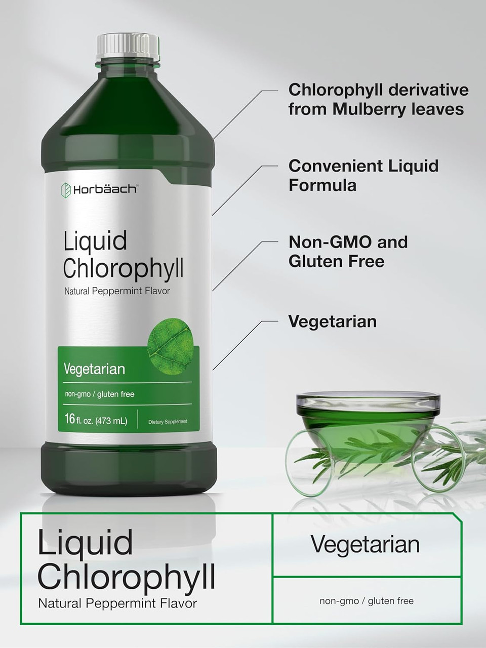 Horbã£Â¤Ach Chlorophyll Liquid Drops 100Mg | 32 Oz (2 X 16 Oz Bottles) | Natural Peppermint Flavor | Vegetarian, Non-Gmo, And Gluten Free Formula