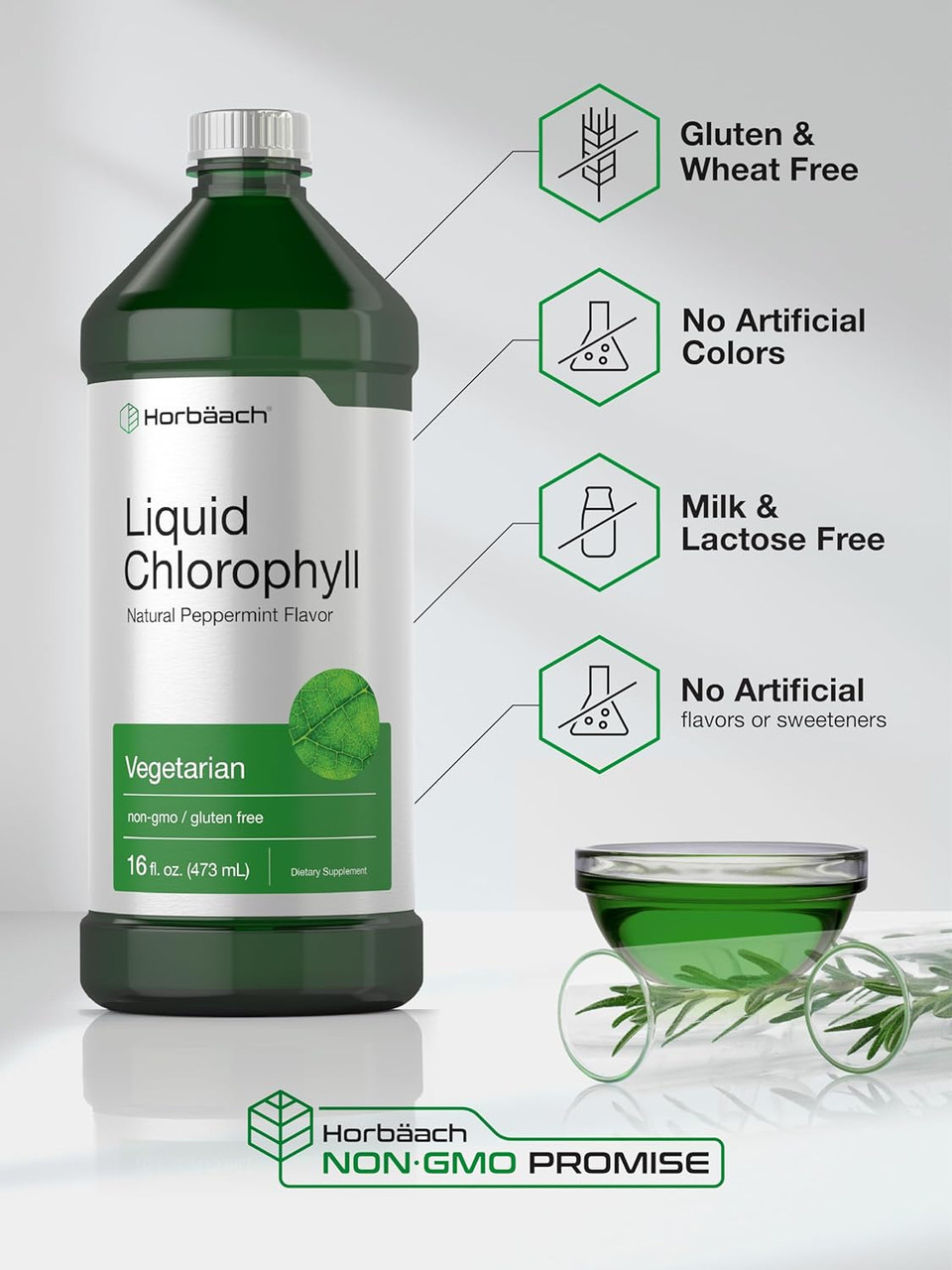 Horbã£Â¤Ach Chlorophyll Liquid Drops 100Mg | 32 Oz (2 X 16 Oz Bottles) | Natural Peppermint Flavor | Vegetarian, Non-Gmo, And Gluten Free Formula