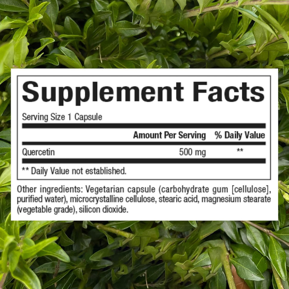 Natural Factors, Quercetin 500 Mg For Immune Support, 60 Count