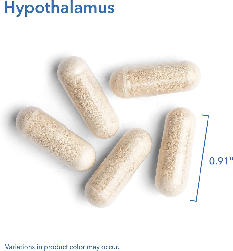 Allergy Research Group Hypothalamus Supplement - Endocrine Support, Natural Glandular, 500Mg Adrenal Support, Adrenal Pituitary, Adrenal Gland Function, Bovine, Lyophilized, Vegicaps - 100 Count