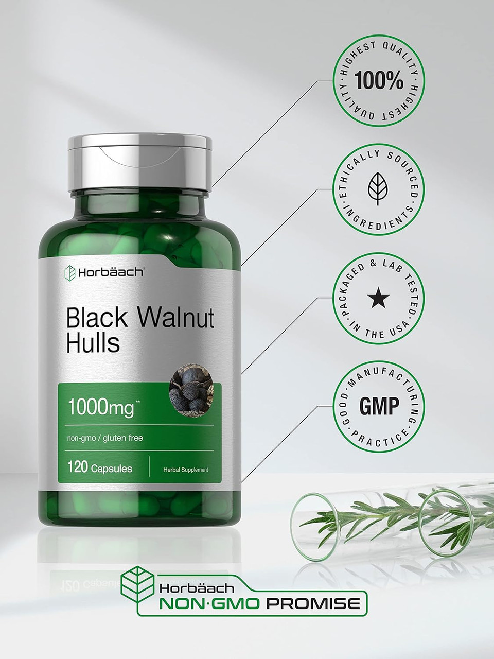 Horbaach Black Walnut Hulls | 1000 Mg | 120 Capsules | Non-Gmo & Gluten Free