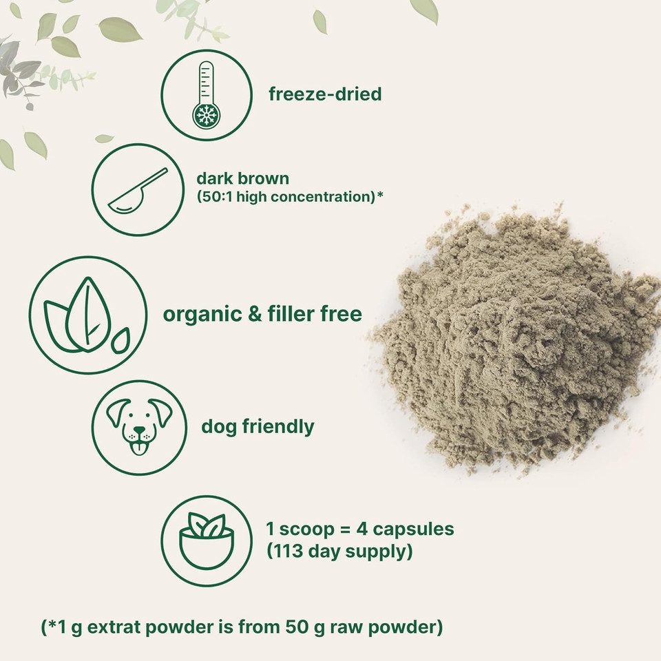 Micro Ingredients Organic Turkey Tail Mushroom Powder (50:1 Extract), 8 Ounce | Freeze Dried With Active Polysaccharides, Supports Immune Response & Cellular Level, Pet Friendly