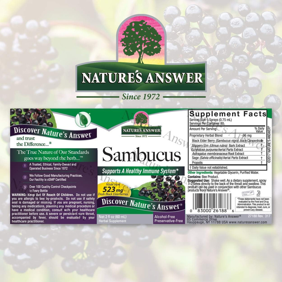 Nature'S Answer Alcohol-Free Sambucus Extract Spray, 2-Ounces | Immune System Support | Vegan, Gluten-Free, No Artificial Flavors Or Preservatives | Single Count