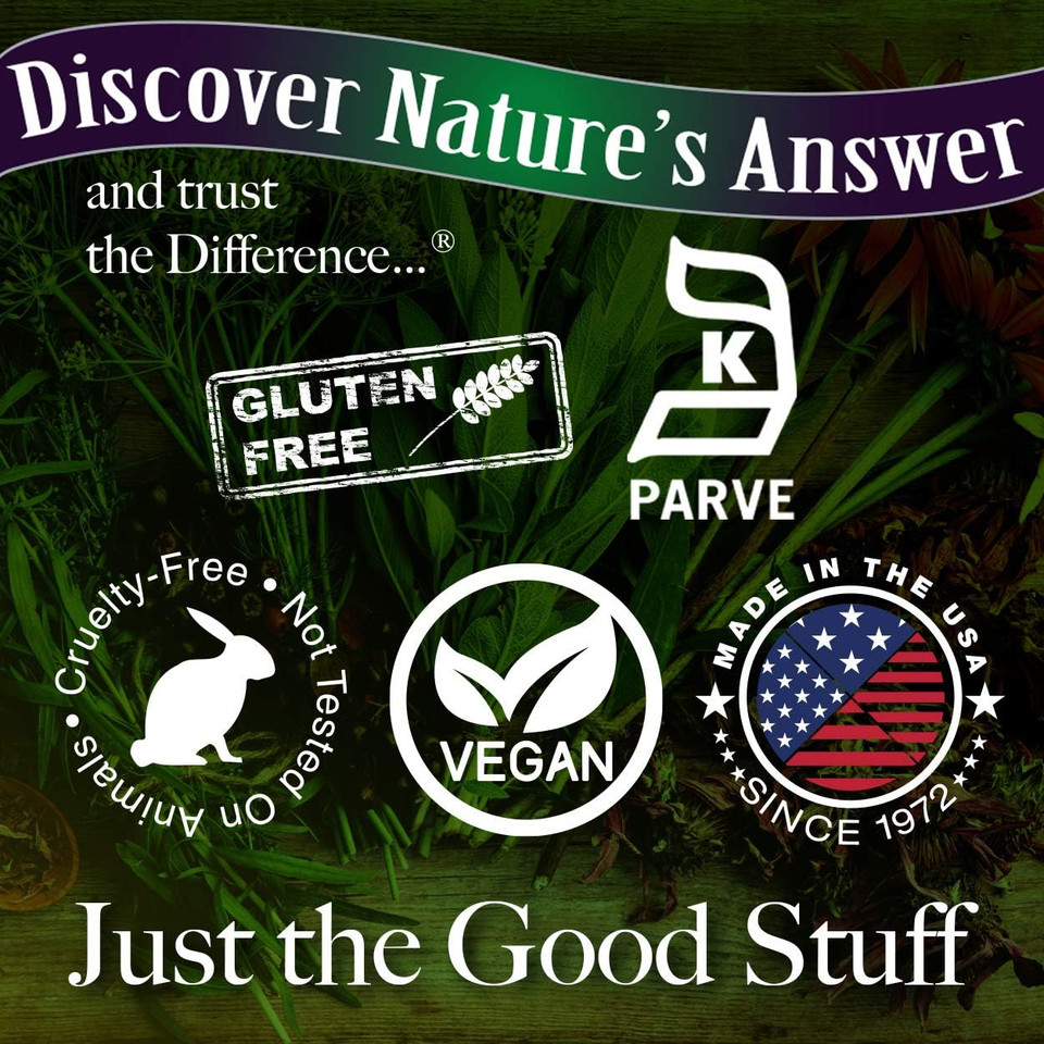 Nature'S Answer Alcohol-Free Sambucus Extract Spray, 2-Ounces | Immune System Support | Vegan, Gluten-Free, No Artificial Flavors Or Preservatives | Single Count