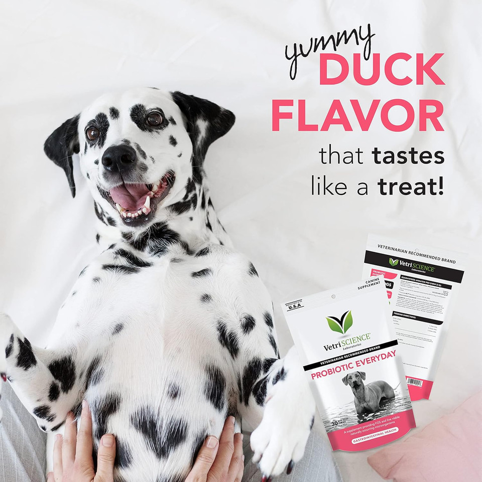 Vetriscience Probiotic Everyday For Dogs Duck Flavor 120 Chews - Itchy Skin Gut Health And Gas Relief With Prebiotics