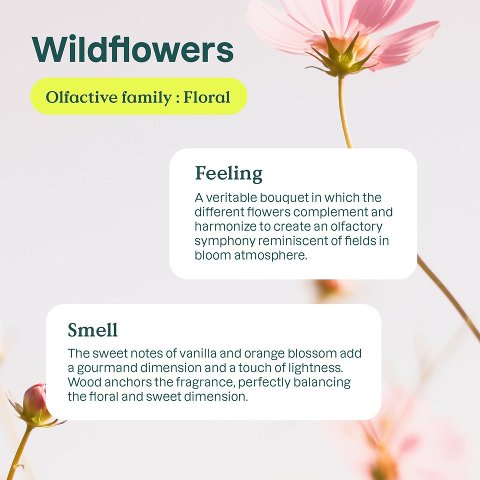 Attitude Dishwashing Liquid, Ewg Verified, Vegan Dish Soap, Plant Based, Naturally Derived Products, Wildflowers, 33.8 Fl Oz