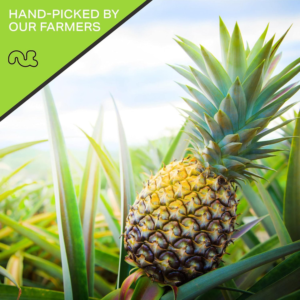 Nut Cravings Dry Fruits - Sun Dried Pineapple Chunks, With Sugar Added (16Oz - 1 Lb) Packed Fresh In Resealable Bag - Sweet Snack, Healthy Food, All Natural, Vegan, Kosher Certified