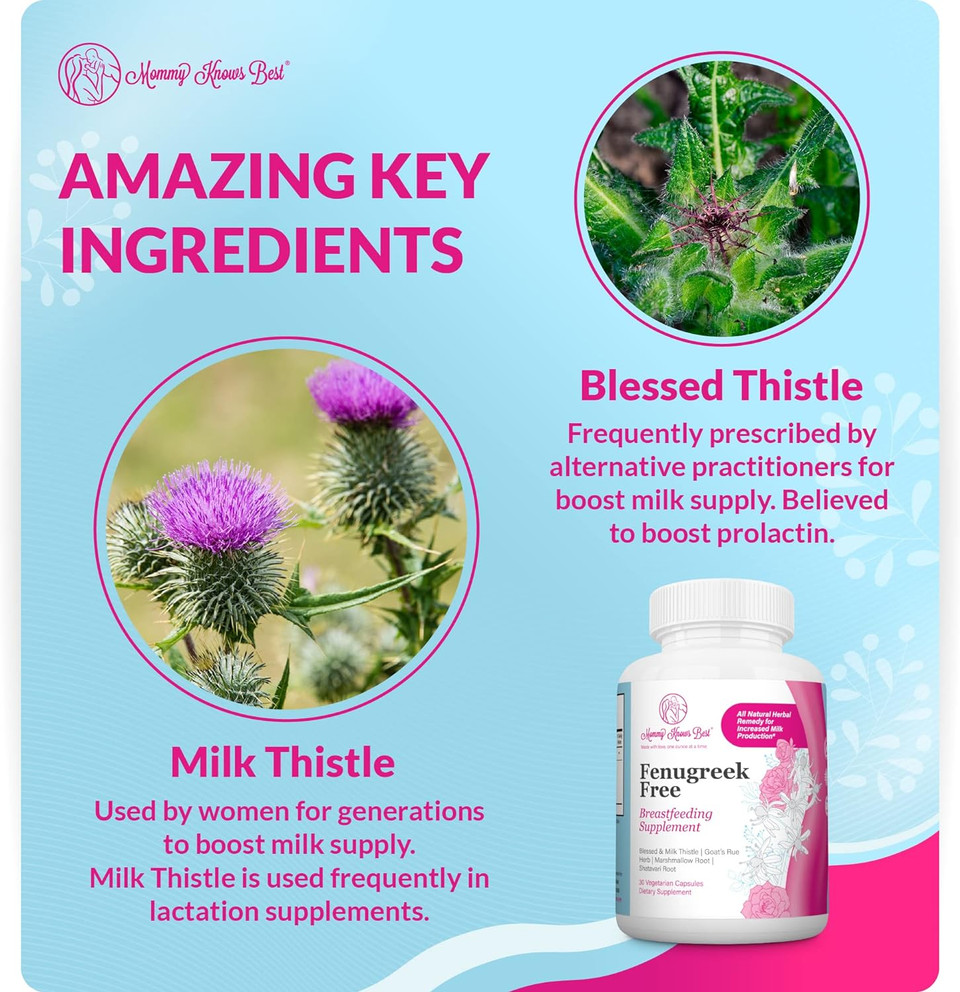 Fenugreek Free Lactation Supplement - Breastfeeding Supplements For Nursing Mothers Milk Supply Increase W/ Blessed Thistle, Milk Thistle, Goat'S Rue, Marshmallow Root, Shatavari Root - 30 Vege. Caps