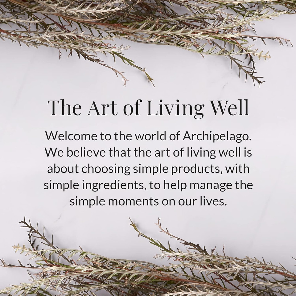 Archipelago Botanicals Winter Frost Reed Diffuser | White Birch And Winter Greens | 7.6 Fl Oz
