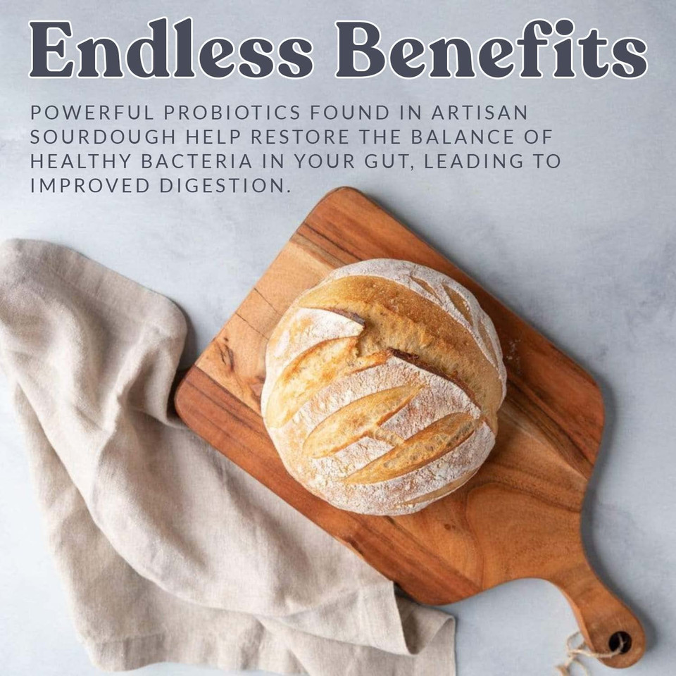 Cultures For Health Charcuterie Night Bread & Cheese Bundle | Make Your Own Rye Sourdough Bread & Fromage Blanc Cheese | Non-Gmo Diy Kits For Adults, Soft Cheese And Sourdough Starter Kit