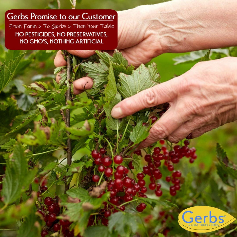 Gerbs Dried Zante Currants 4 Lbs. | Freshly Dehydrated Re-Sealable Bulk Bag | Top 14 Food Allergy Free | Sulfur Dioxide Free | Rich In Antioxidants | Gluten, Peanut, Tree Nut Free