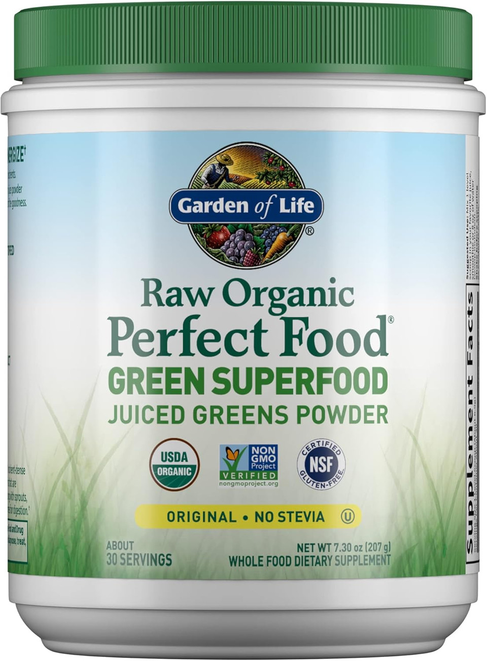 Garden Of Life Raw Organic Perfect Food Green Superfood Juiced Greens Powder - Chocolate, 60 Servings, Non-Gmo, Gluten Free, Vegan Whole Food Dietary Supplement, Plus Probiotics, Enzymes Garden Of Life Raw Organic Perfect Food Green Superfood Juiced Greens Powder - Chocolate, 60 Servings, Non-Gmo, Gluten Free, Vegan Whole Food Dietary Supplement, Plus Probiotics, Enzymes