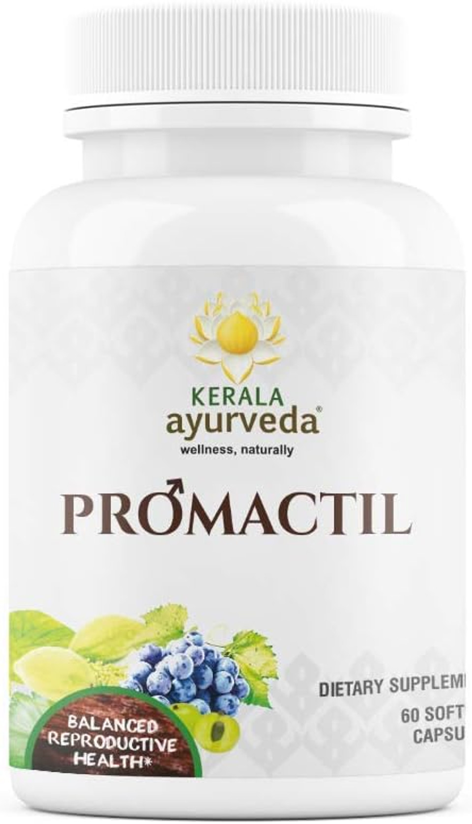Kerala Ayurveda Promactil - Herbal Capsules With Ashwagandha To Nourishe Male Reproductive Tissues, Support Vitality, And Maintains Immunity, 60 Count