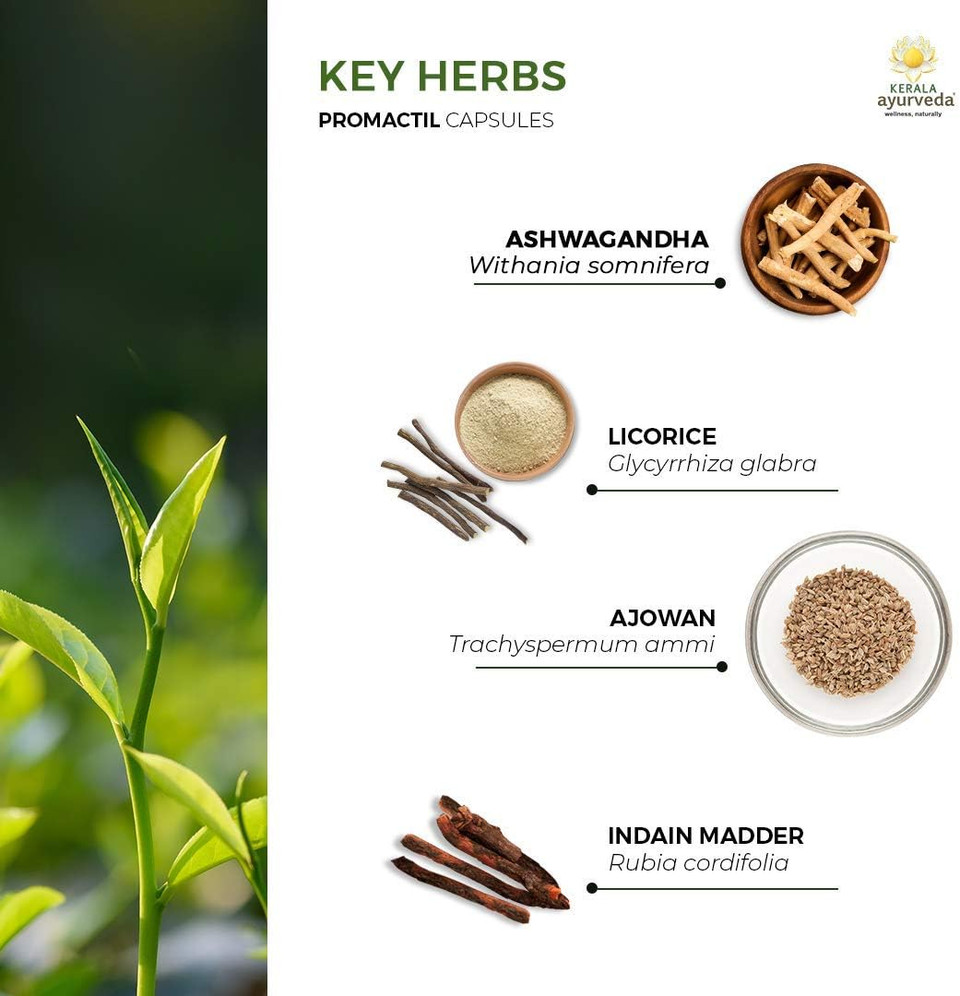 Kerala Ayurveda Promactil - Herbal Capsules With Ashwagandha To Nourishe Male Reproductive Tissues, Support Vitality, And Maintains Immunity, 60 Count