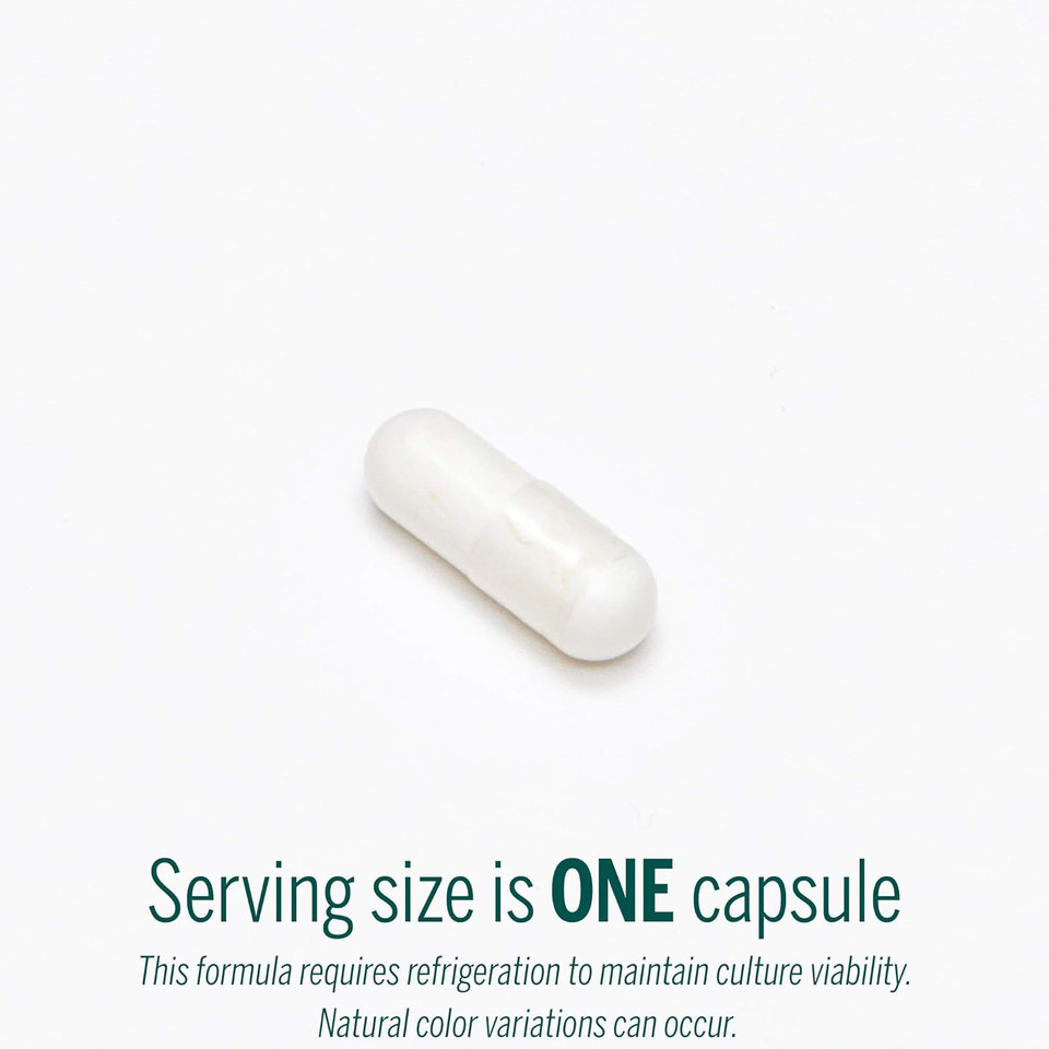 Genestra Brands - Hmf Forte Probiotic Supplement - Four Strains Of Probiotics To Promote Gi Health - 60 Capsules