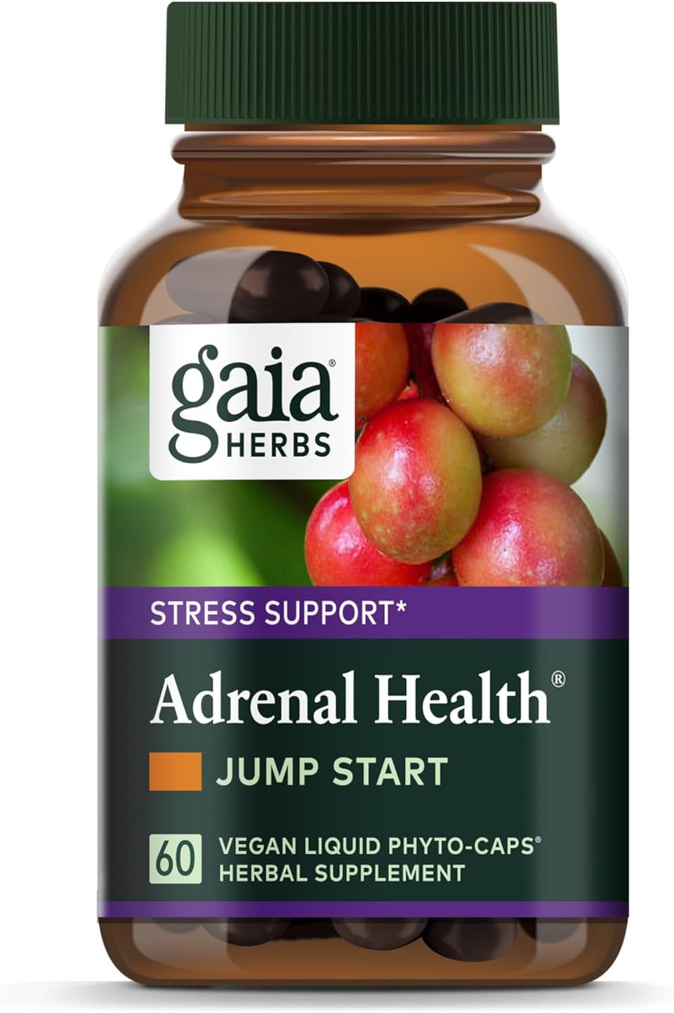 Gaia Herbs Jump Start - Helps Sustain Healthy Energy And Stress Levels - With Cordyceps, Schisandra, Rhodiola, And Licorice - 60 Vegan Liquid Phyto-Capsules (30-Day Supply)