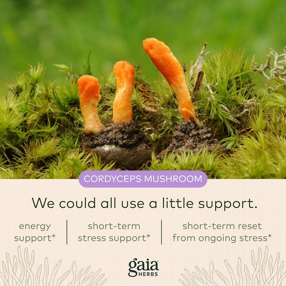 Gaia Herbs Jump Start - Helps Sustain Healthy Energy And Stress Levels - With Cordyceps, Schisandra, Rhodiola, And Licorice - 60 Vegan Liquid Phyto-Capsules (30-Day Supply)