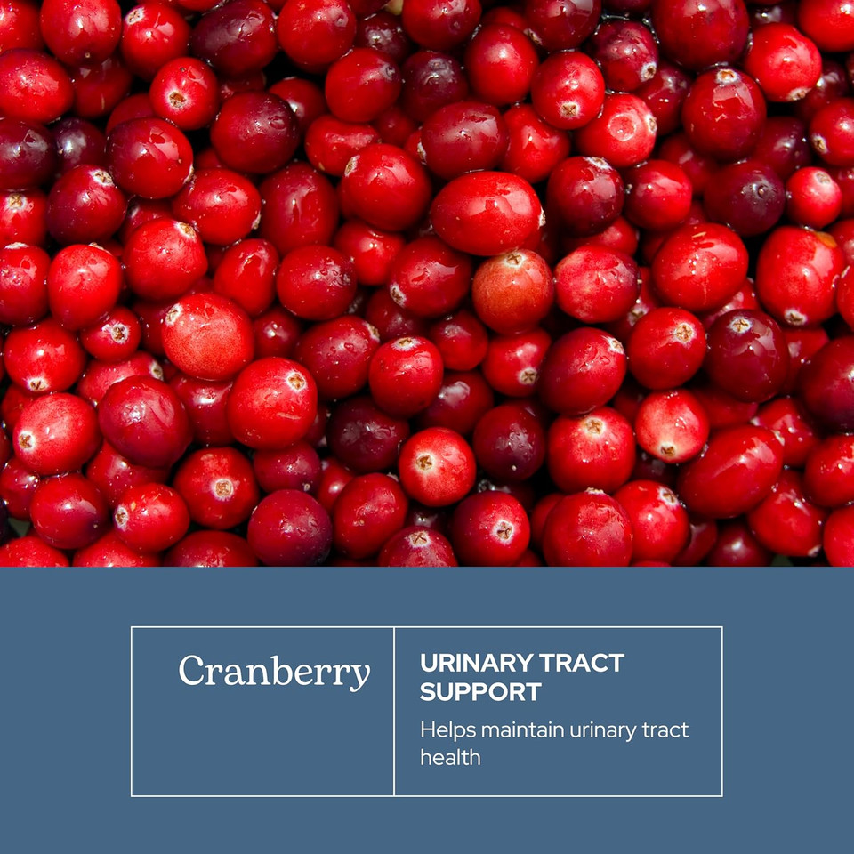 Eclectic Institute Raw Fresh Freeze-Dried Non-Gmo Cranberry | Urinary Tract Support | 90 Ct (300 Mg)