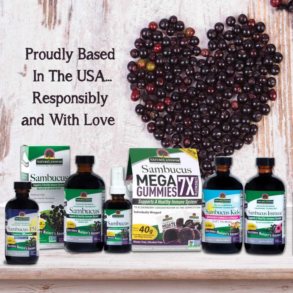 Nature'S Answer Sambucus Elderberry Syrup Spray ( Pack Of 4 ) - 2 Fluid Ounces | Natural Immune Booster | Travel Friendly | Packed With Antioxidants | Great Tasting | Immune On The Go