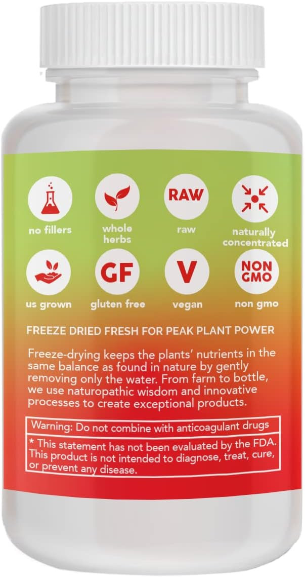 Eclectic Institute Raw Freeze-Dried Non-Gmo Ginkgo | Cardiovascular And Circulatory Support, Supports Brain Function, Concentration & Memory | 50 Ct (450 Mg)