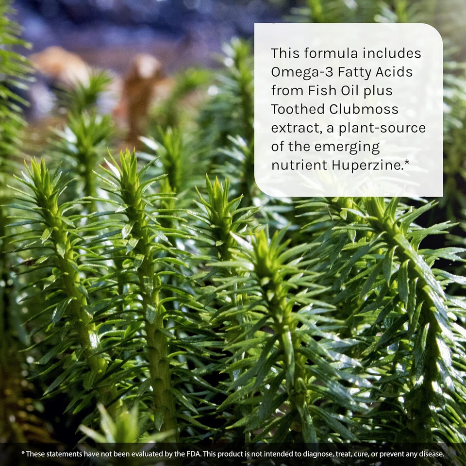 Irwin Naturals Ginkgo Smart Powerful Nootropic Brain Booster - Supports Maximum Memory, Focus & Mental Clarity With Dmae, Clubmoss, Choline & Acetyl L-Carnitine - 120 Liquid Softgels