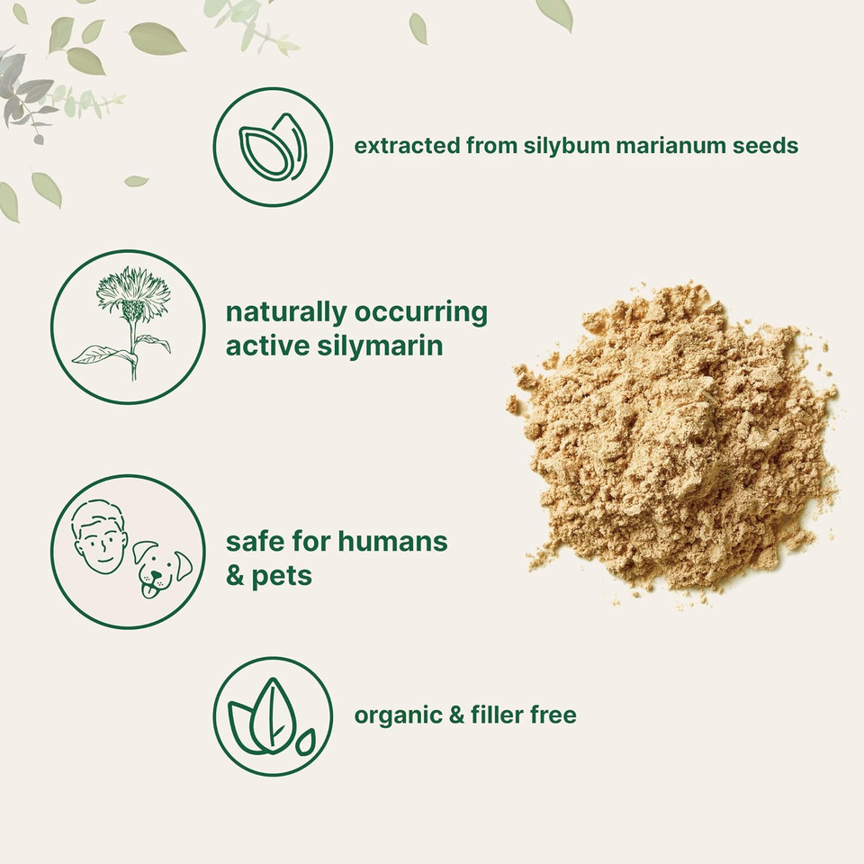 Organic Milk Thistle Tea Powder, 3.5 Ounces | 400 Servings | Premium Milk Thistle Liver Detox Supplement | Contains Active Silymarin | Non-Gmo, Vegan Friendly, Eco-Friendly Recyclable Bags
