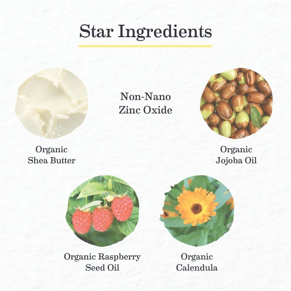 Earth Mama Tinted Mineral Sunscreen Lotion Spf 25, Contains Organic Argan And Red Raspberry Seed Oil, 3-Ounces3 Ounce (Pack Of 1)