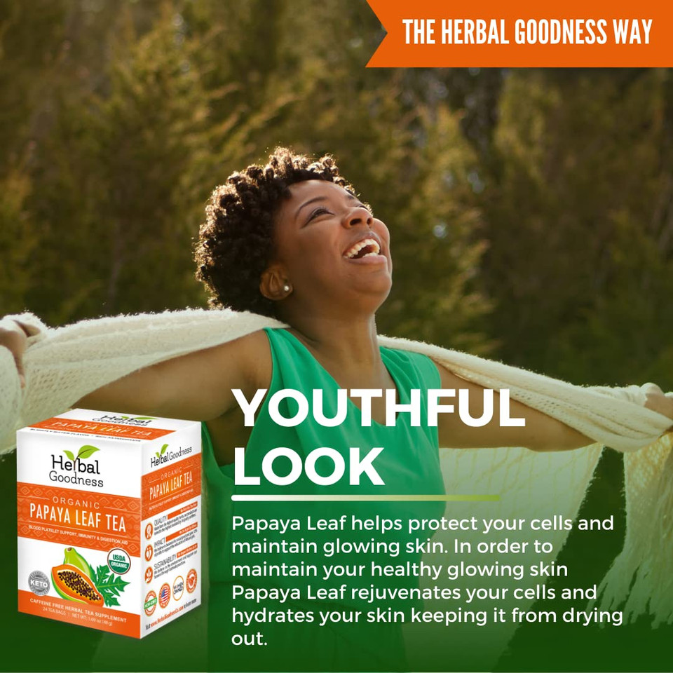 Papaya Leaf Tea - Natural Blood Platelet Health, Immune Gut & Digestive Enzymes - 100% USDA Organic, Non-GMO Project Verified, Gluten-Free, Kosher - Made in the USA by Herbal Papaya - 24/2g Tea Bags